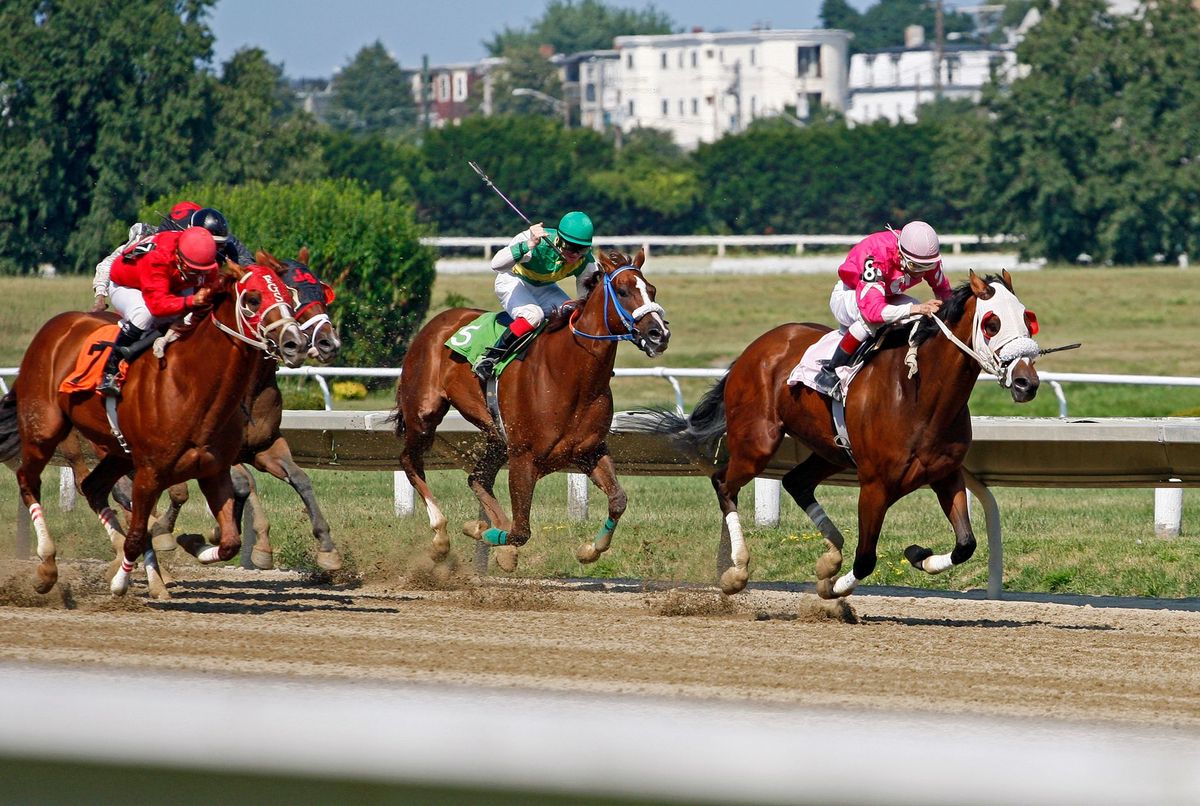 Racing sweepstakes